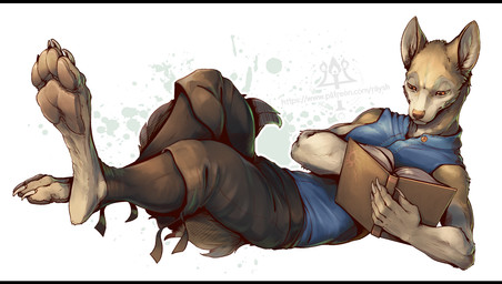 anthro barefoot black_bars claws clothed clothing feet foot_fetish fur male pawpads paws reading soles solo tail toes kredri canid canine mammal letterbox