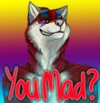 abstract_background anthro caption countershading gradient_background male rainbow simple_background smile solo text kyma canid canine canis mammal wolf 2010 bust_portrait english_text meme portrait reaction_image