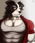 abs anthro athletic biceps big_muscles biped black_body black_fur black_nose chest_tuft clothed clothing fur grin jacket looking_away male manly muscular muscular_anthro muscular_male nipple_outline nipples open_clothing open_shirt open_topwear orange_eyes pecs pose red_outerwear shirt smile smirk solo standing teeth tight_clothing tight_topwear topwear tuft white_body white_clothing white_fur white_topwear yellow_eyes linlvjia border_collie canid canine canis collie domestic_dog herding_dog mammal pastoral_dog sheepdog digital_media_(artwork) signature