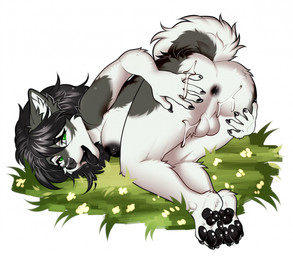 anthro anus areola balls black_anus black_areola black_hair bodily_fluids breasts butt countershading cum cum_on_butt fur genital_fluids genitals green_eyes grey_body grey_fur gynomorph hair intersex looking_at_viewer nipples nude on_ground paws perineum presenting presenting_anus solo tail tongue tongue_out white_body white_countershading manika_nika noishkel alaskan_malamute canid canine canis domestic_dog mammal nordic_sled_dog spitz 2025 hi_res