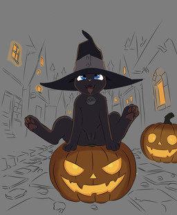 anal anal_penetration black_body clothing feet female feral food foot_focus fruit genitals hat headgear headwear looking_up open_mouth paws penetration plant presenting presenting_vulva pumpkin pumpkin_cat solo vulva vlaxis soul_eater blair_(soul_eater) felid feline mammal hi_res