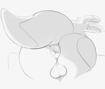 anthro anus balls bent_over big_butt butt butt_focus genitals long_ears looking_back rear_view simple_background solo thick_thighs white_background sofmallow liliko_(sofmallow) kangaroo macropod mammal marsupial 2025 digital_drawing_(artwork) digital_media_(artwork) hi_res monochrome nonbinary_(lore)