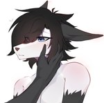 anthro black_hair blue_eyes blush bodily_fluids fur hair holding_cheek male simple_background solo sweat white_body ranadi layla_(ranadi) canid canine fox mammal hi_res