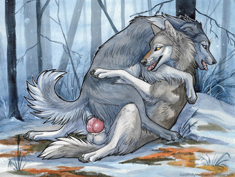 animal_genitalia animal_penis animal_vulva balls black_sclera canine_genitalia canine_penis canine_vulva duo ears_back erection fangs female female_penetrated feral feral_on_feral feral_penetrated feral_penetrating feral_penetrating_feral fur genitals grass grey_body grey_fur grey_tail knot knotted_penis male male/female male_penetrating male_penetrating_female narrowed_eyes open_mouth outside penetration penile penile_penetration penis penis_in_vagina pivoted_ears plant red_penis sex side_view tail teeth tree vaginal vaginal_penetration vulva white_balls white_body white_fur white_tail yellow_eyes heatherwolf canid canine canis mammal wolf