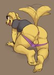 anthro anus backsack balls big_butt biped bojack_horseman butt canid canine canis catnapstar domestic_dog fingers floppy_ears fur genitals male mammal mr._peanutbutter netflix perineum rear_view solo tail tail_motion tailwag thick_thighs yellow_body yellow_fur