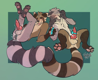 anal anal_penetration animal_genitalia animal_penis anthro balls blush blush_lines bottom_swap brown_body brown_fur buttplug buttplug_in_ass buttplug_insertion canine_genitalia canine_penis duo egg_vibrator eyes_closed fur genitals green_background grey_body grey_fur knot knotted_penis legs_up lying male male/male markings mismatched_animal_penis mismatched_genitalia mismatched_penis multicolored_body multicolored_fur object_in_ass on_back pawpads paws penetration penile penis plug_(sex_toy) plug_insertion sex_toy sex_toy_in_ass sex_toy_insertion simple_background spread_legs spreading tan_markings tongue tongue_out transformation vibrator vibrator_on_penis valbits jono okietheraccoon canid canine canis mammal procyonid raccoon wolf 2025 dated hi_res