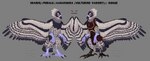 anthro beak biped claws feathered_wings feathers female heterochromia solo text wings avian-king aarakocra_(dnd) accipitriform avian bird vulture 2021 absurd_res english_text hi_res