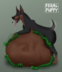 after_vore ambiguous_gender belly big_belly black_body black_ears black_legs black_tail bodily_fluids brown_legs duo feral feral_pred grey_background heart_symbol huge_belly human_prey rumbling_stomach saliva simple_background tail text tongue tongue_out vore feral-puppy canid canine canis dobermann domestic_dog human mammal pinscher 2024 english_text hi_res watermark