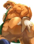 anthro apron backsack balls belly brown_body brown_fur butt clothing eyewear fur genitals glasses gloves handwear hat headgear headwear male musclegut muscular muscular_anthro muscular_male nipples pecs perineum presenting presenting_hindquarters solo spread_butt spreading straw_hat negitsururu lifewonders tokyo_afterschool_summoners volos_(tas) bear mammal absurd_res hi_res