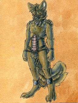ankle_cuffs anthro balls bdsm biped bondage bound chastity_cage chastity_device collar cuff_(restraint) erection genitals looking_at_viewer male muzzle_(object) muzzled penis phallic_chastity_device restraints shackles solo standing submissive submissive_male tail thigh_cuffs wearing_chastity_cage wearing_chastity_device wrists_to_legs ruaidri canid canine canis mammal wolf