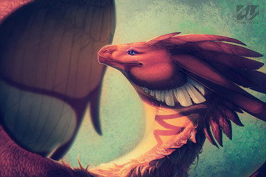 ambiguous_gender blue_eyes feathers feral fur membrane_(anatomy) membranous_wings red_body red_feathers red_fur simple_background solo standing wings averrisvis mythology shinerai_(character) dragon mythological_creature mythological_scalie scalie 2015 3:2 digital_media_(artwork)