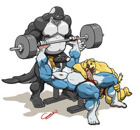 anthro balls barbell bench bench_press biceps big_muscles big_penis clenched_teeth clothed clothing erection exercise eyewear feet floppy_ears foreskin genitals glasses group group_sex holding_barbell holding_object humanoid_feet humanoid_genitalia humanoid_penis jockstrap kneeling licking lying male male/male musclegut muscular muscular_male nipples on_back on_bench partially_retracted_foreskin pecs penis plantigrade sex sexercise smile speedo spotting standing straining swimwear teeth threesome tongue tongue_out topless trio underwear weightlifting weights workout chestnuts_(artist) road_rovers darwen exile_(road_rovers) hunter_(road_rovers) aquatic canid canine canis cetacean dolphin domestic_dog husky mammal nordic_sled_dog oceanic_dolphin orca spitz toothed_whale