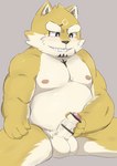 anthro balls belly erection foreskin fur genitals humanoid_genitalia humanoid_penis male masturbation nipples pecs penis slightly_chubby solo yellow_body yellow_fur yamamoto_denki lifewonders live_a_hero procy canid canine canis domestic_dog mammal censored