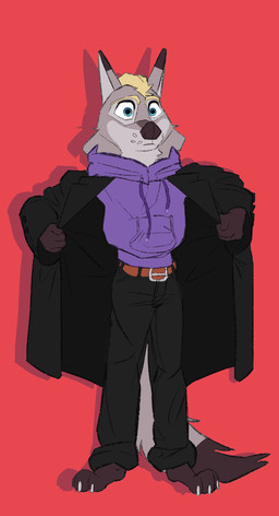 anthro belt black_bottomwear black_clothing black_coat black_pants black_topwear blonde_hair blue_eyes bottomwear brown_belt brown_body brown_fur clothing coat ear_markings eyebrows fur grey_body grey_fur hair holding_clothing holding_object hoodie male multicolored_body multicolored_fur pants pointy_ears pose purple_clothing purple_hoodie purple_topwear red_background simple_background slim slim_anthro slim_male solo standing tail topwear auga auga_(character) canid canine canis mammal wolf portrait