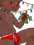 accidental_holly anthro blush clothing holidays holly_(plant) male plant solo underwear young young_anthro nocneko christmas coco_(nocneko) felid feline mammal absurd_res hi_res