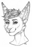 ears_up female fur hair long_ears looking_at_viewer short_hair smile solo striped_ears text maoshan noemie_(bast45) felid feline hybrid mammal serval 2022 bust_portrait graphite_(artwork) hi_res monochrome portrait traditional_media_(artwork)