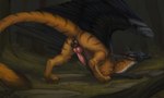 anus balls black_body black_fur blue_eyes brown_body brown_claws brown_fur butt claws erection feral fur genitals grass knot looking_at_viewer male penis pink_knot pink_penis plant presenting presenting_penis solo ztalex mythology avian gryphon mythological_avian mythological_creature hi_res