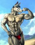 abs anthro beach biceps bulge chest_tuft clothing fur male muscular muscular_anthro muscular_male nipples outside pecs seaside solo tuft underwear bleakcat canid canine fox mammal