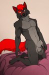 animal_genitalia anthro balls canine_genitalia fully_sheathed fur genitals grey_body grey_fur hair looking_at_viewer male nude sheath solo tail annairu fury_(furythewolf) furythewolf canid canine canis mammal wolf digital_media_(artwork) hi_res