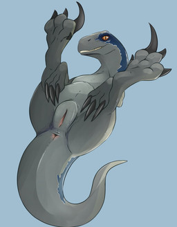 anus blue_background butt claws feet feet_up female feral foot_fetish foot_focus genitals grey_body grey_scales legs_up long_claws looking_at_viewer lying on_back pink_anus pink_vulva presenting presenting_hindquarters pupils scales sharp_teeth simple_background slit_pupils smile solo tail tailbutt teeth vulva yellow_eyes noodlestoat jurassic_park jurassic_world universal_studios blue_(jurassic_world) dinosaur dromaeosaurid prehistoric_species reptile saurischian scalie theropod velociraptor hi_res