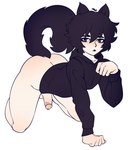 all_fours arched_back ass_up balls black_clothing black_ears black_hair black_hoodie black_topwear blush bottomless bottomless_humanoid bottomless_male butt cat_tail clothed clothing femboy fluffy fluffy_tail genitals hair hoodie hoodie_only long_tail looking_at_viewer male paw_pose penis pose solo tail topwear topwear_only white_body white_skin bro_aniki doomer_(bro_aniki) doomer_boy animal_humanoid cat_humanoid felid felid_humanoid feline feline_humanoid humanoid mammal mammal_humanoid 2022 hi_res