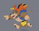 backpack belt bottomwear brown_body brown_fur chest_tuft claws clothing countershading duo feathers female fur gesture grey_background hand_gesture jewelry male muscular necklace open_mouth pawpads pointing red_body red_feathers running shorts side_view simple_background smile teeth tuft hikazedragon banjo-kazooie rareware banjo_(banjo-kazooie) kazooie avian bear breegull mammal 2020 hi_res signature