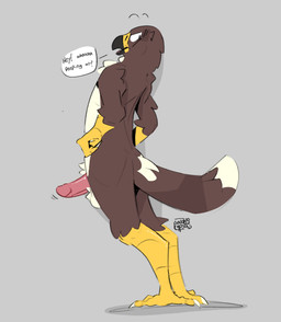 anthro avian_feet beak claws erection feathers finger_claws genitals looking_at_viewer male nude open_beak open_mouth penis seductive solo tail tail_feathers throbbing throbbing_penis toe_claws voyeur sodacaps accipitrid accipitriform avian bird eagle absurd_res hi_res
