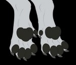 ambiguous_gender black_pawpads claws feet foot_focus foot_shot grey_claws hind_legs hindpaw pawpads paws solo white_body mituni_(artist) european_mythology mythology screw_the_shadow_walker dragon mythological_creature mythological_scalie scalie western_dragon 2d_animation animated digital_media_(artwork) hi_res short_playtime