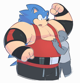 anthro armpit_fetish armpit_sniffing belt blue_body blue_fur bottomwear clothed clothing duo elbow_pads faceless_character faceless_male flexing fur male male/male musclegut muscular muscular_male musk open_mouth pecs shirt shorts sniffing t-shirt tan_body tan_fur tank_top tight_clothing topwear wraps wrist_wraps greenendorf sega sonic_the_hedgehog_(series) sonic_the_hedgehog eulipotyphlan hedgehog human mammal 2015