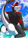 anthro anus beach bottomless bottomless_male butt clothed clothing fin horn horn_jewelry jewelry looking_at_viewer looking_back male nude rear_view shark_fin shark_tail solo spread_anus spreading summer tail water kai_shark fish marine shark digital_media_(artwork) hi_res