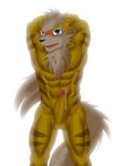 abs adolescent anthro balls blue_eyes blush bodily_fluids chest_tuft erection flexing fur genital_fluids genitals hands_behind_head leaking_precum male muscular muscular_male nipples nude penis pose precum presenting presenting_penis simple_background solo striped_body striped_fur stripes tan_fur_tuft tuft white_background yellow_body yellow_fur young akino-kamihara nintendo pokemon kagerou_higari_(akino-kamihara) arcanine generation_1_pokemon pokemon_(species) shiny_pokemon 2013 3:4 absurd_res censored hi_res mosaic_censorship