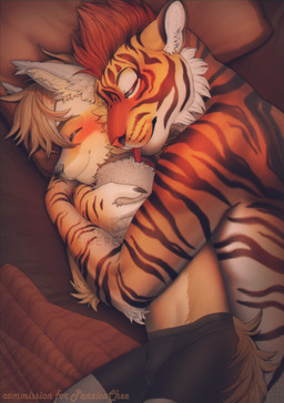 anthro bed blush blushing_profusely cuddling duo furniture happy hug licking male male/male smile tongue fiuefey panzica canid canine canis coyote felid mammal pantherine tiger hi_res