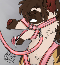 anthro bdsm bodily_fluids breath half-closed_eyes harness leash male narrowed_eyes panting piercing saliva simple_background solo teeth teeth_showing tongue tongue_out pteri_(artist) parker_(kibbleztheyeen) hyena mammal striped_hyena hi_res shaded simple_shading