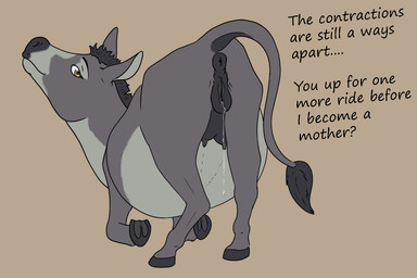 animal_genitalia animal_vulva anus belly big_belly butt equine_anus equine_genitalia equine_vulva female feral genitals huge_belly pregnant pregnant_female pregnant_feral presenting presenting_anus presenting_hindquarters presenting_vulva solo solo_focus text vulva tiny_terrible asinus donkey equid equine mammal 3:2 english_text