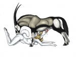 69_position anatomically_correct anatomically_correct_genitalia anatomically_correct_penis animal_genitalia animal_penis antelope_penis anthro anthro_on_feral ass_up bestiality bodily_fluids breasts cum cunnilingus duo erection eyes_closed face_fucking face_mounting fellatio female female_on_feral feral forced forced_oral genital_fluids genitals hooves horn interspecies irrumatio licking male male/female male_on_anthro messy neck_bulge nude oral penile penis raised_tail sex side_boob simple_background tail tongue tongue_out vaginal white_background chiro_ookami antelope bovid grazing_antelope mammal oryx 2009 digital_media_(artwork)