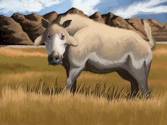 blue_sky cloud day feral field fur grass grey_body grey_fur looking_at_viewer multicolored_body multicolored_fur nature outside plant quadruped rock sky solo tan_body tan_fur agustindiazart archaeotherium 2026 4:3 hi_res
