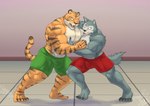 anthro barazoku big_muscles bottomwear bulge claws clothed clothing countershading duel duo hand_on_chest inside male muscular muscular_anthro muscular_male nipples pec_grab pecs scar sharp_teeth shorts teeth thick_thighs topless topless_male wrestling jabuhusky beastars bill_(beastars) legoshi_(beastars) bengal_tiger canid canine canis felid mammal pantherine tiger wolf 2021 absurd_res hi_res