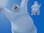 anthro backsack balls bandage belly big_belly black_eyes black_nose butt dot_eyes genitals male moobs overweight overweight_male simple_eyes solo white_body neetgabu one_piece bepo_(one_piece) bear mammal minkmen_(one_piece) polar_bear ursine 2023 hi_res