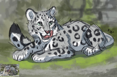 ambiguous_gender feral fur green_eyes lying markings open_mouth paws solo spots spotted_body spotted_fur teeth tongue flashw felid leopard mammal pantherine