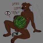 anal anal_storage animal_genitalia anthro breath broken_pelvis cavity_storage food fruit genitals improvised_sex_toy internal male melon multi_nipple nipples object_vore pain panting plant solo vore watermelon wounded thehuskydragon gordon_(thehuskydragon) canid canine mammal 1:1 hi_res