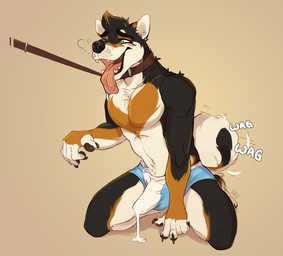 5_fingers anthro biped black_body black_fur black_nose blue_eyes bodily_fluids brown_body brown_fur bulge claws clothed clothing collar cum cum_in_clothing cum_in_underwear cum_pool cum_through_clothing cum_through_underwear erection erection_under_clothing fingers fur genital_fluids genitals green_eyes kneeling leash leash_pull male multicolored_body multicolored_fur open_mouth pawpads paws penis simple_background smile solo sound_effects submissive submissive_male tail tail_motion tailwag tan_background tenting text tongue tongue_out topless underwear wet wet_clothing wet_underwear white_body white_fur huffpup yoji-kun canid canine canis domestic_dog mammal shiba_inu spitz 2017 digital_media_(artwork) english_text