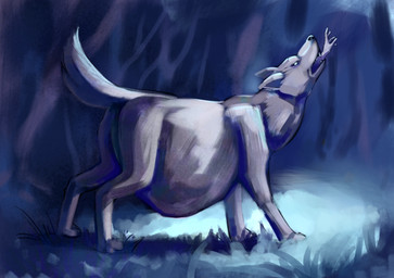 belly big_belly feral feral_pred fur grey_body grey_fur human_prey oral_vore same_size_vore vore poppyfield canid canine canis human mammal wolf hi_res
