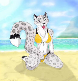 anthro beach bikini biped clothing cloud condom condom_in_mouth detailed_background dipstick_tail female kneeling leopard_spots looking_at_viewer markings mouth_hold multicolored_tail object_in_mouth one_eye_closed outside sand sea seaside sexual_barrier_device sky smile solo spots sun swimwear tail tail_markings two-piece_swimsuit water whiskers white_tail_tip wink plejman meixiu felid leopard mammal pantherine hi_res