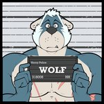 anthro black_border border clothed clothing facial_hair fur grey_body grey_fur hair looking_at_viewer male mature_male mugshot scar sideburns solo text topless white_hair johnarthur0 barbie_and_ken_mugshot_meme go_to_horny_jail hero's_heart wolf_(hero's_heart) canid canine canis mammal wolf 2023 character_name digital_media_(artwork) english_text meme