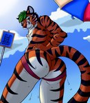 anthro blue_sky butt clothing cloud jockstrap looking_at_viewer male mostly_nude planted_sign sign sign_graphic sky solo stripes umbrella underwear wet wet_body sunny_frostwolf ahaditiger felid mammal pantherine siberian_tiger tiger absurd_res hi_res