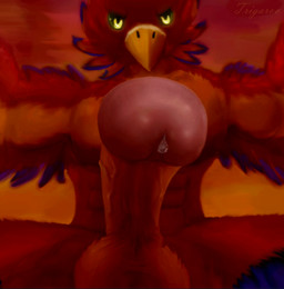 abs anthro balls biceps bodily_fluids bottom_pov erection foreshortening fur genital_fluids genital_focus genitals glans humanoid_genitalia humanoid_penis looking_at_viewer low-angle_view male muscular muscular_anthro muscular_male nude pecs penis penis_towards_viewer pink_glans precum red_balls red_body red_fur red_penis solo sunset vein veiny_penis yellow_eyes trigaroo avian bird 2017 digital_media_(artwork) shaded