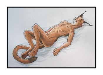 4_toes 5_fingers anthro border brown_body brown_fur chest_tuft claws digitigrade dipstick_tail ear_tuft feet fingers fur inner_ear_fluff looking_aside looking_at_viewer lying male markings multicolored_tail nude on_back orange_eyes pawpads pecs shadow skinny smile solo tail tail_markings toes tuft white_body white_border white_fur 0laffson caracal caracal_(genus) felid feline mammal 2015 acrylic_painting_(artwork) painting_(artwork) traditional_media_(artwork) traditional_painting_(artwork) traditional_watercolor_(artwork) watercolor_(artwork)