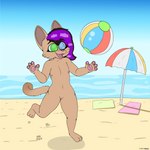 anthro beach chasing female footprint genitals innocence innocent_expression innocent_smile nude pawprint playing pussy seaside sky solo water young young_anthro young_female cancatbeans domestic_cat felid feline felis mammal 1:1 absurd_res hi_res