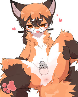 3_toes ahegao anthro anus aroused balls bedroom_eyes bent_legs biped blush blush_lines bodily_fluids brown_body brown_ears brown_eyes brown_fur butt chastity_cage chastity_device dipstick_tail eyewear feet flat_chastity_cage floating_heart fur genitals glasses hand_on_leg hand_on_own_leg hand_on_own_thigh hand_on_thigh heart_symbol holding_leg holding_thigh inner_ear_fluff inviting inviting_to_sex kemono looking_at_viewer looking_pleasured male male_anthro markings narrowed_eyes neck_tuft nude nude_anthro nude_male open_mouth orange_body orange_fur pawpads paws pink_pawpads presenting presenting_anus presenting_hindquarters round_glasses ruff seductive simple_background sitting solo spread_legs spreading sweat sweatdrop tail tail_markings toes tuft wearing_chastity_cage wearing_chastity_device wearing_glasses white_background white_body white_fur young young_anthro young_male aellaellae canid canine fox mammal 2025 absurd_res hi_res