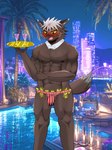 abs anthro black_body black_fur blush bulge clothing embarrassed fur hair male money_in_thong muscular muscular_anthro muscular_male nipples pecs serving_tray solo thong underwear white_hair 2ziu lifewonders tokyo_afterschool_summoners tadatomo_(tas) canid canine canis domestic_dog mammal 3:4 hi_res